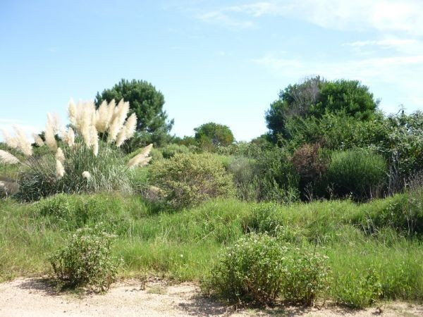 Terreno en venta en Balneario Buenos Aires.