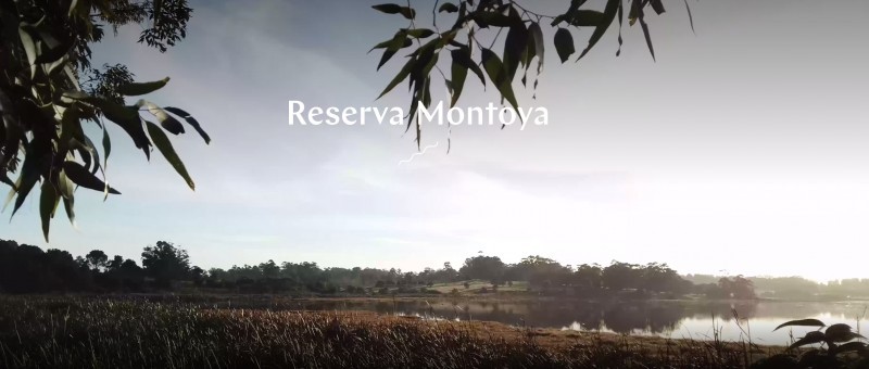 Terrenos en La Reserva de Montoya