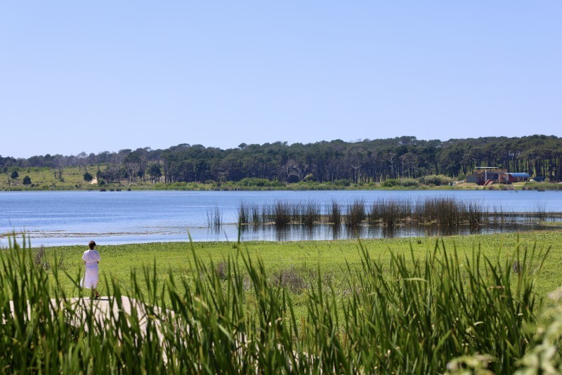 Terrenos en La Reserva de Montoya