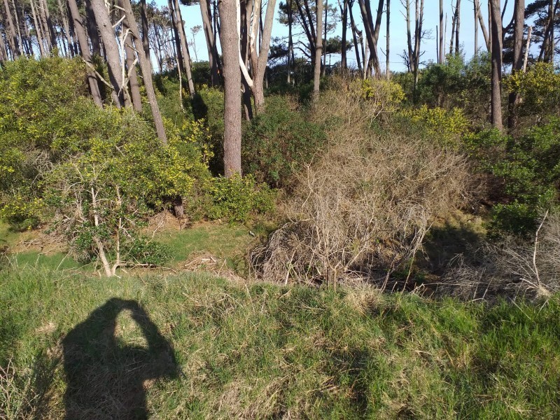 Lindo terreno de 475 mts sobre Avda Oceano 