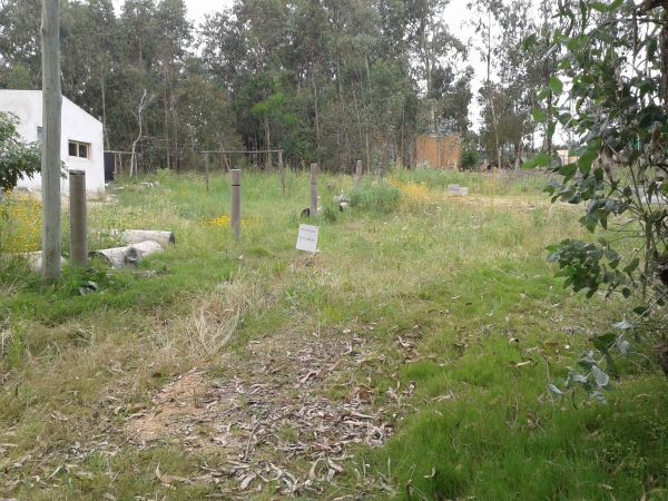 Terreno de 300 m2 ubicado a poco menos de 4 cuadras del mar.