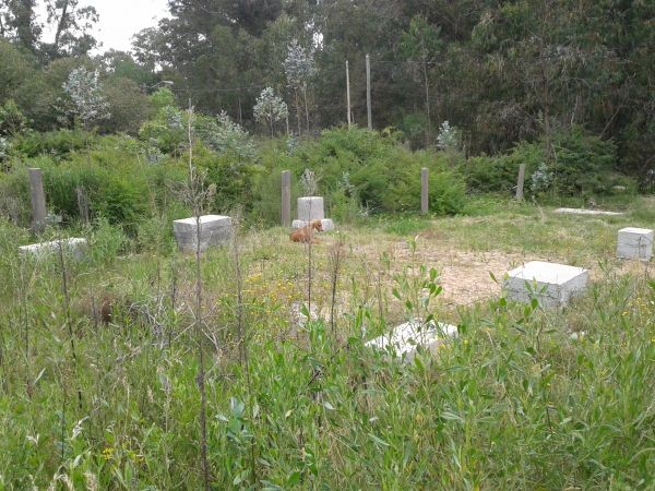 Terreno de 300 m2 ubicado a poco menos de 4 cuadras del mar.