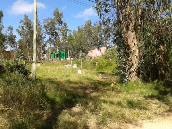 Terreno de 300 m2 ubicado a poco menos de 4 cuadras del mar.