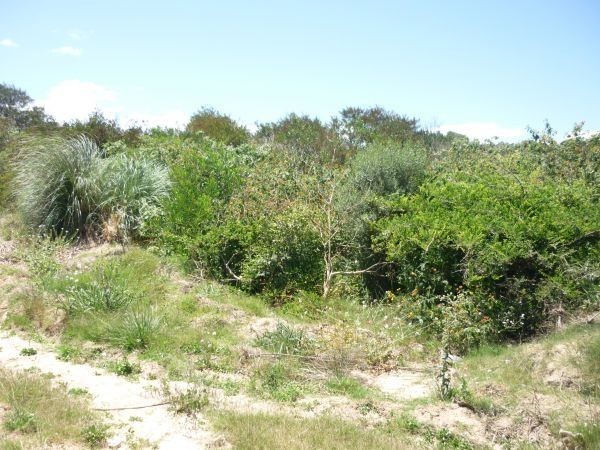 Terrenos en venta en Balneario Buenos Aires