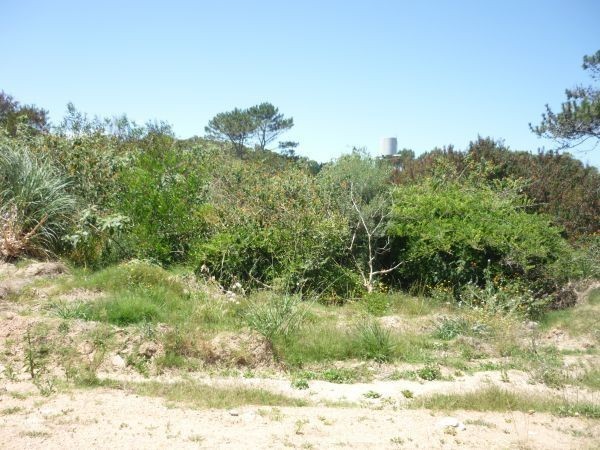 Terrenos en venta en Balneario Buenos Aires