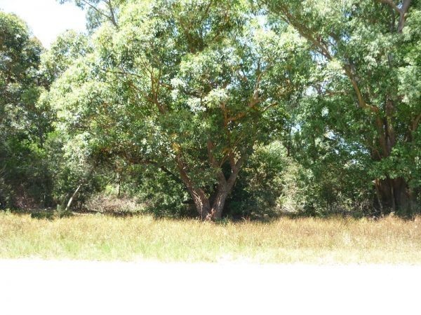 Terreno en venta en Balneario Buenos Aires.
