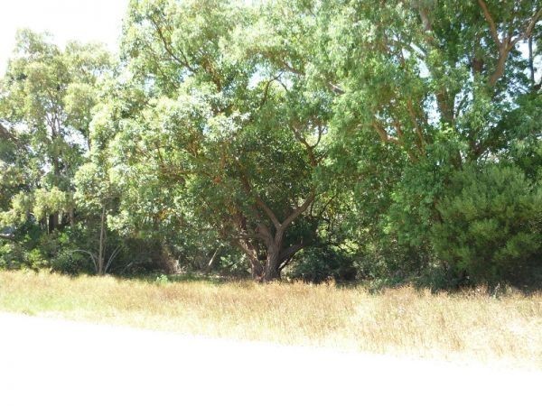 Terreno en venta en Balneario Buenos Aires.