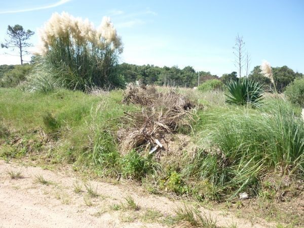 Terreno en venta en Balneario Buenos Aires.