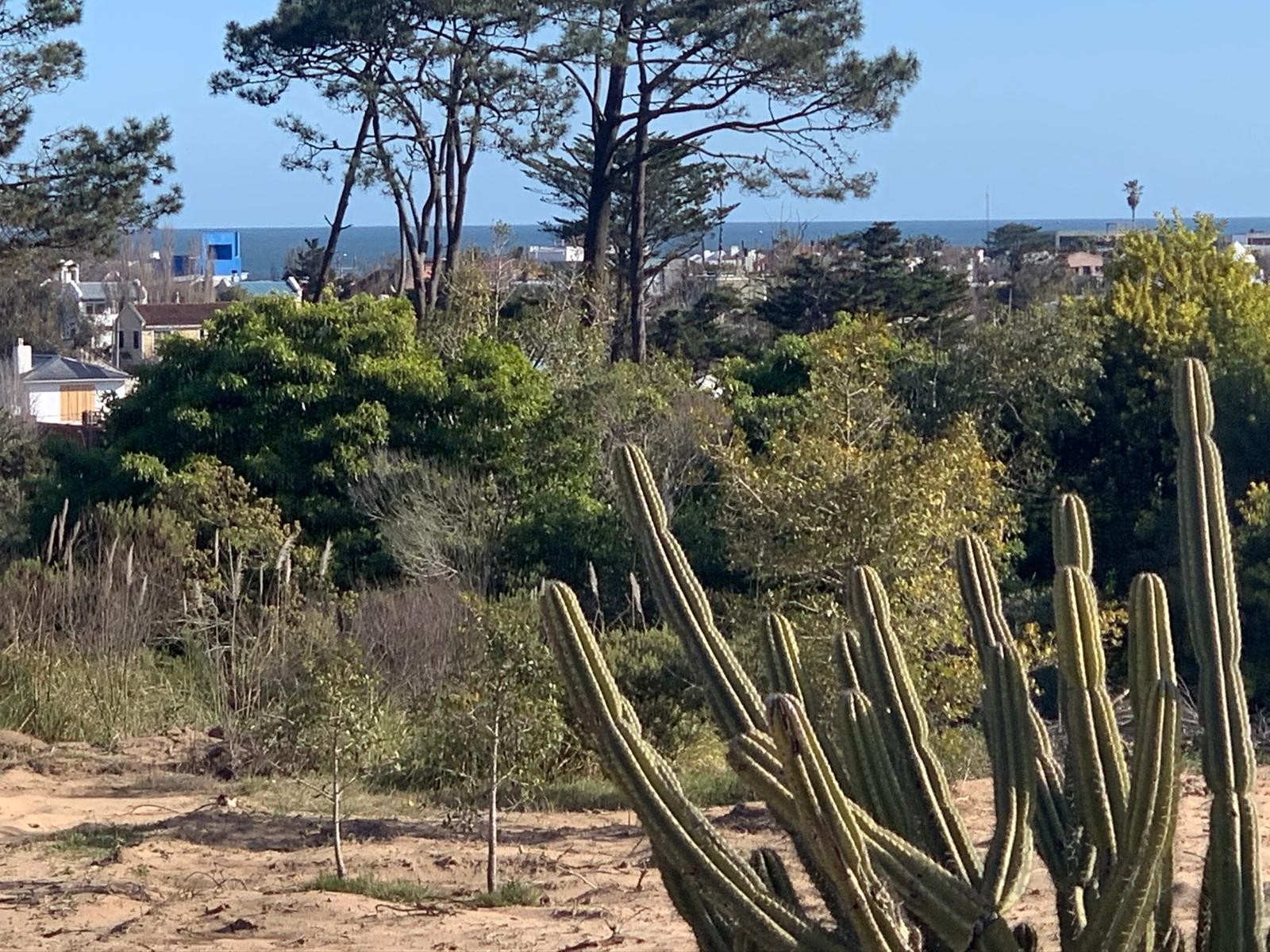 Lote en venta en La Barra