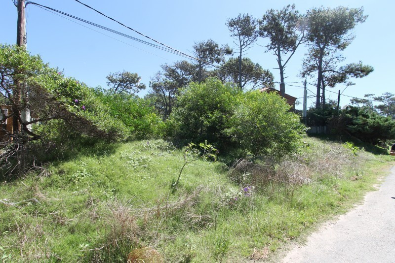 Lotes en venta en Montoya