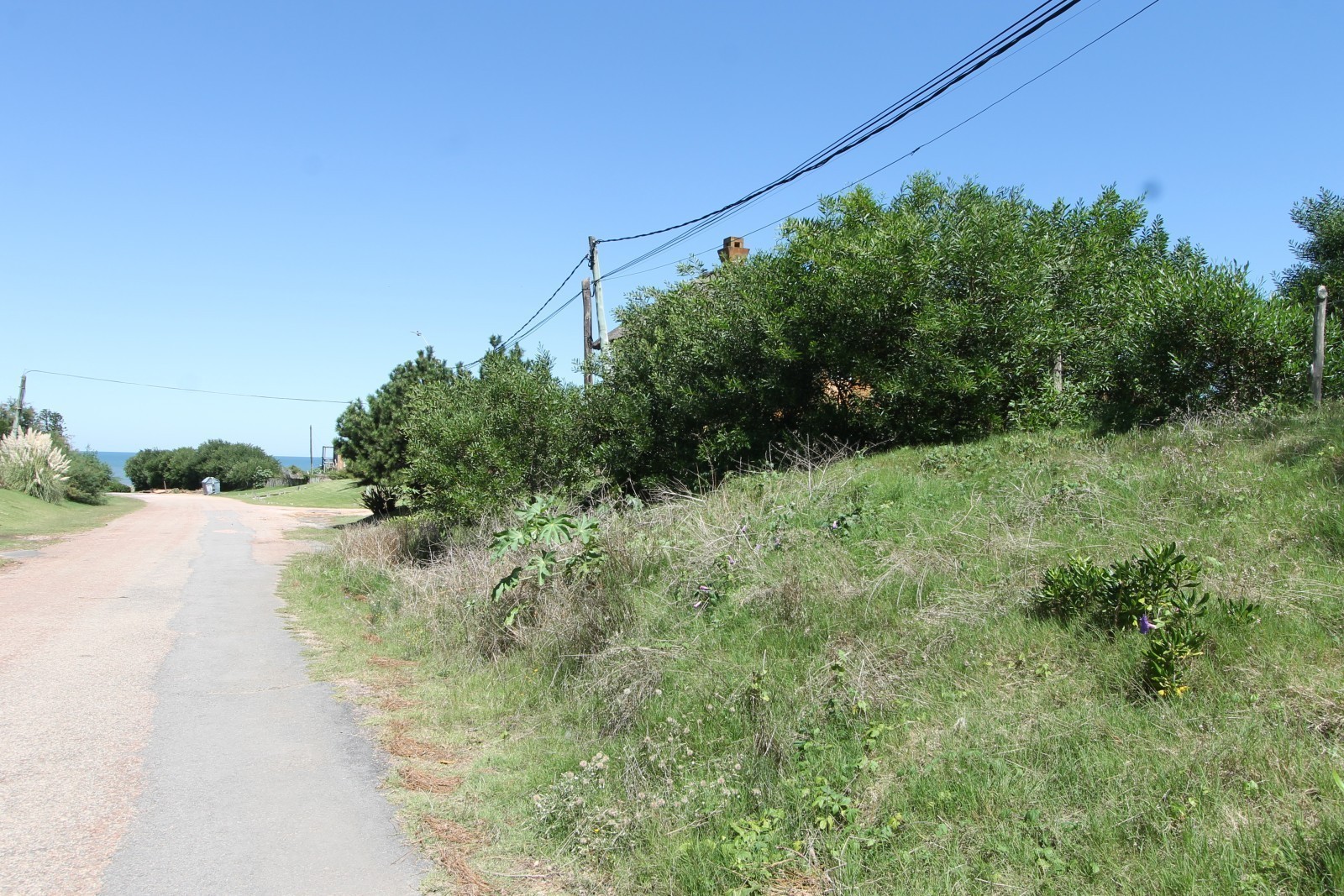 Lotes en venta en Montoya