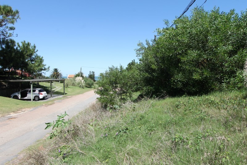 Lotes en venta en Montoya