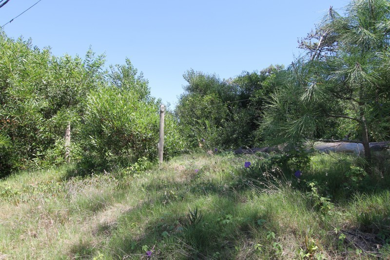Lotes en venta en Montoya