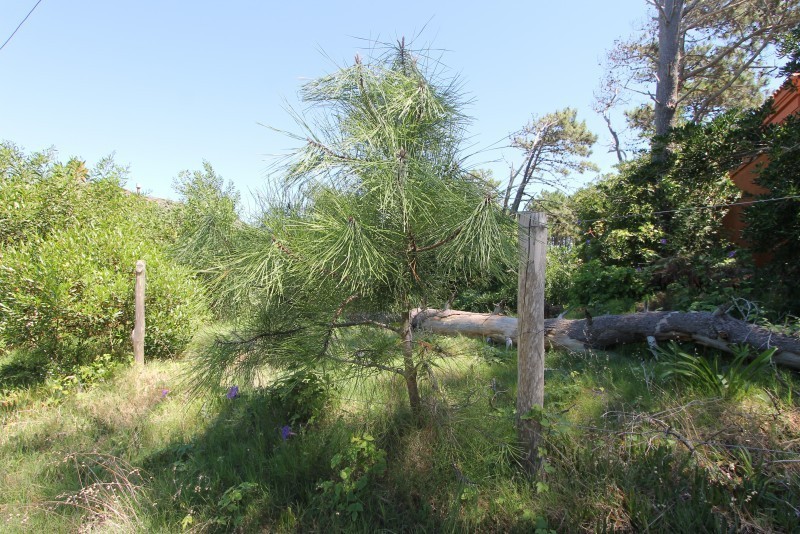 Lotes en venta en Montoya