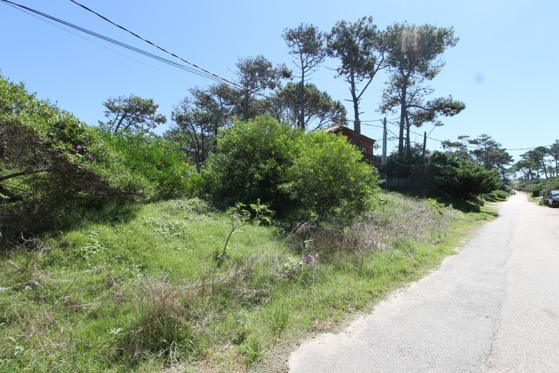 Lotes en venta en Montoya