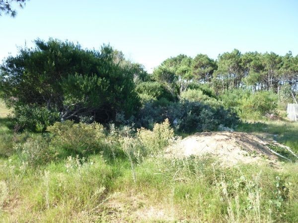 Terreno en venta en Balneario Buenos Aires.