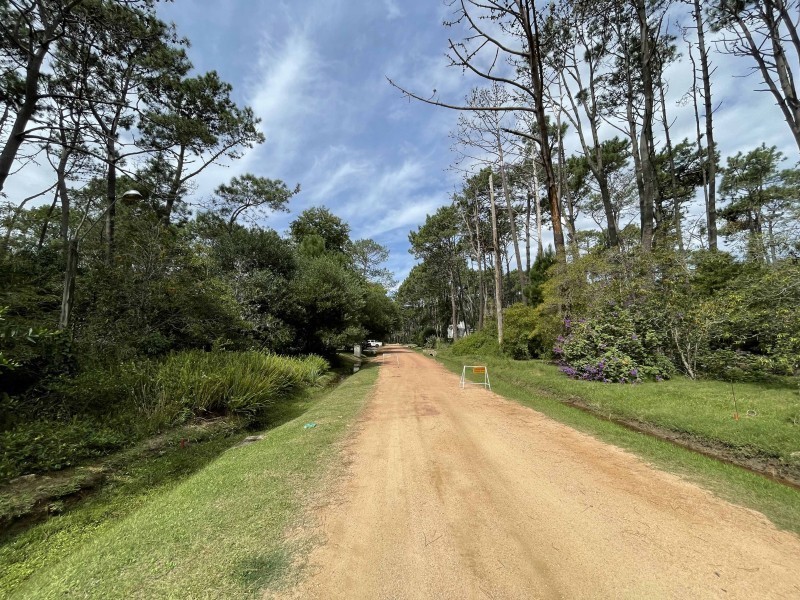 Muy lindo lote esquina en Laguna Blanca en venta