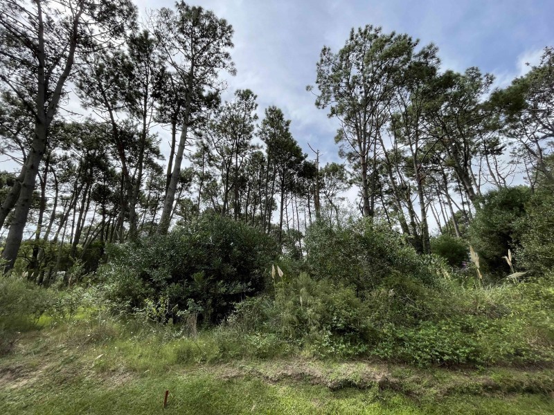 Muy lindo lote esquina en Laguna Blanca en venta