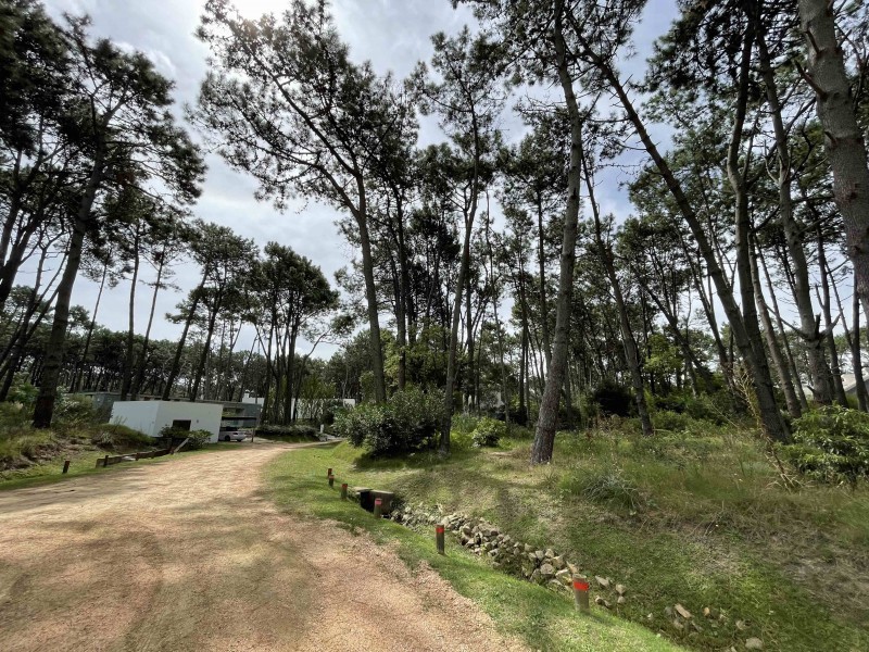 Muy lindo lote esquina en Laguna Blanca en venta