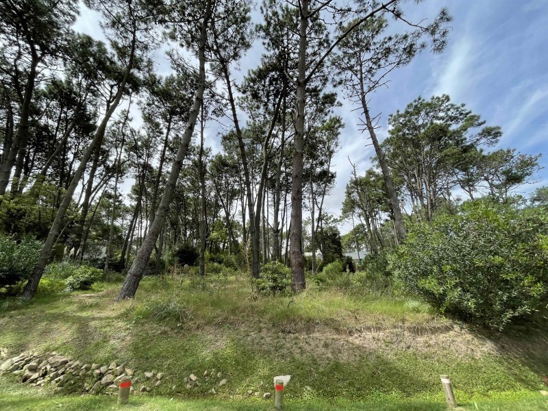 Muy lindo lote esquina en Laguna Blanca en venta