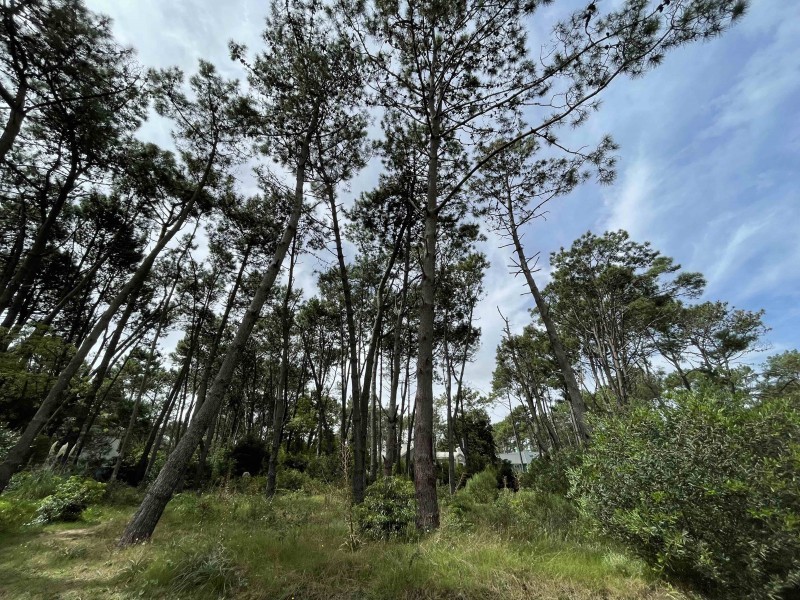 Muy lindo lote esquina en Laguna Blanca en venta