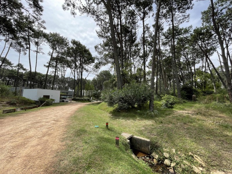 Muy lindo lote esquina en Laguna Blanca en venta