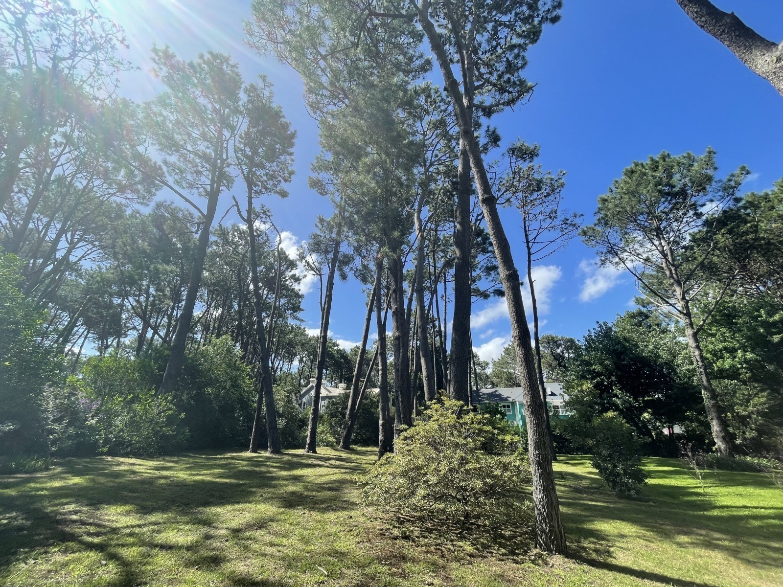 Muy lindo lote en venta en Laguna Blanca
