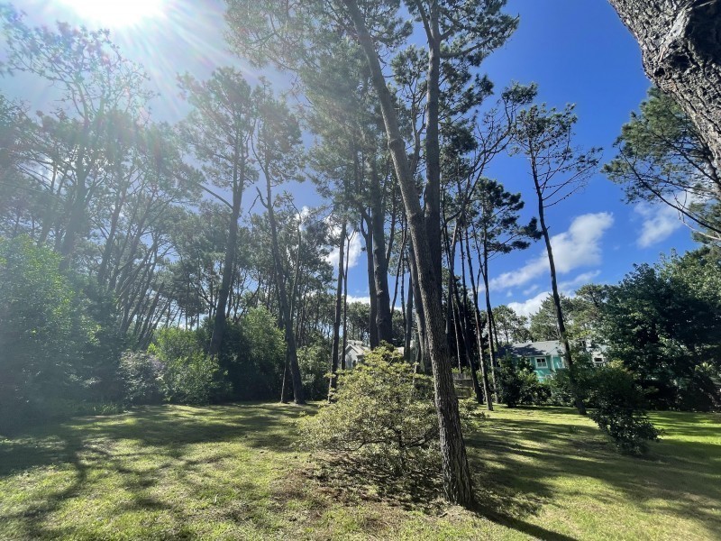 Muy lindo lote en venta en Laguna Blanca
