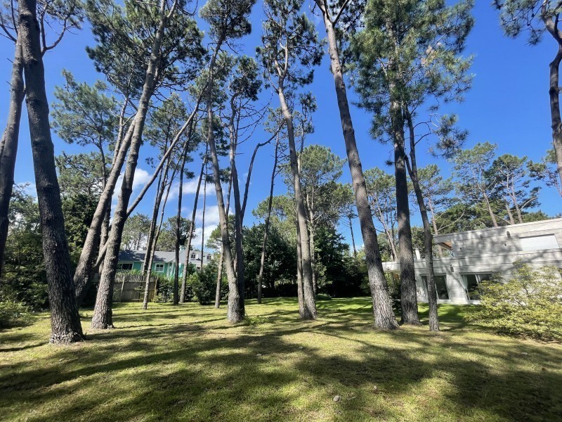 Muy lindo lote en venta en Laguna Blanca