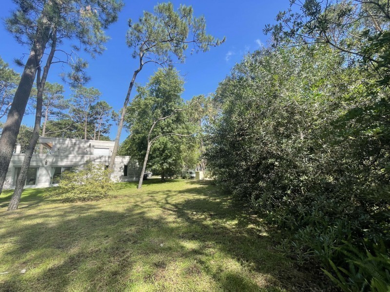 Muy lindo lote en venta en Laguna Blanca