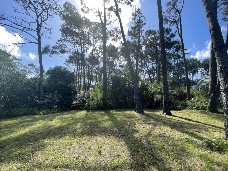 Muy lindo lote en venta en Laguna Blanca