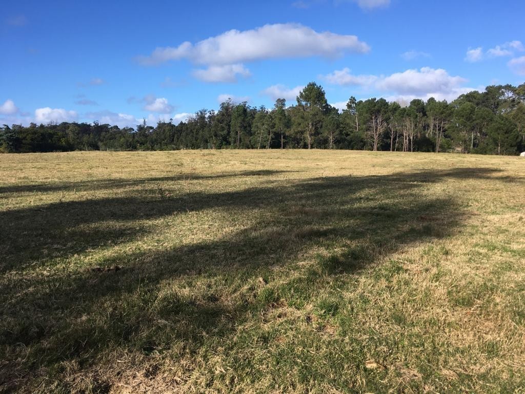 Campo para fraccionamiento frente a Pueblo Gaucho zona Rincón del Indio