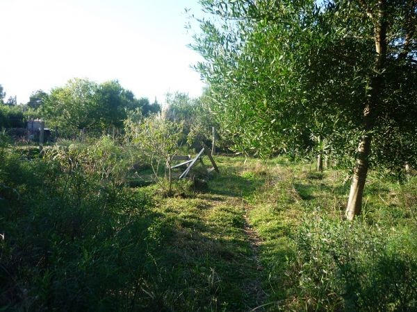Terreno en venta en Balneario Buenos Aires.