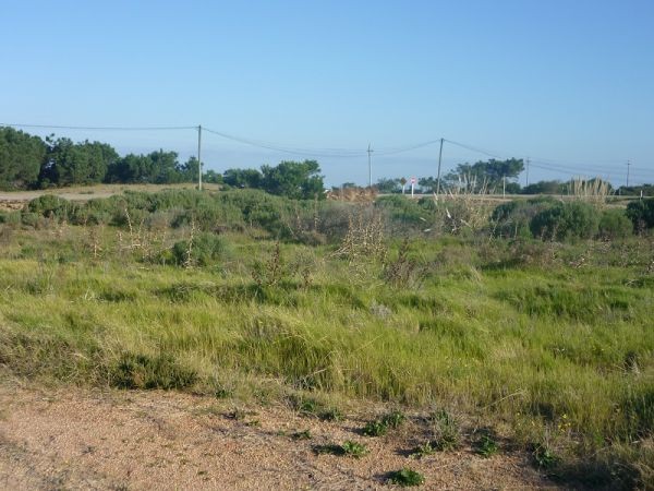 Lote de 450 m2 esquinero.