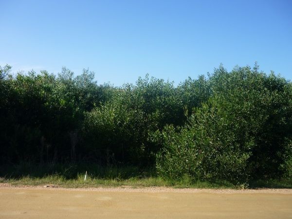 Terreno en venta en Balneario Buenos Aires.