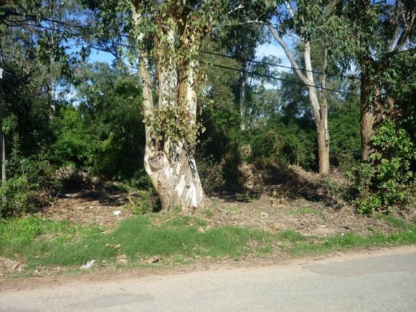 Terreno en venta en Balneario Buenos Aires.