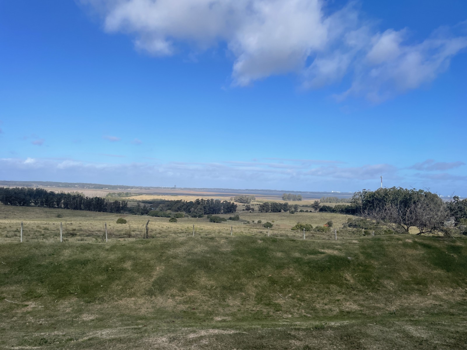 Campo en Camino Eguzquiza, La Barra