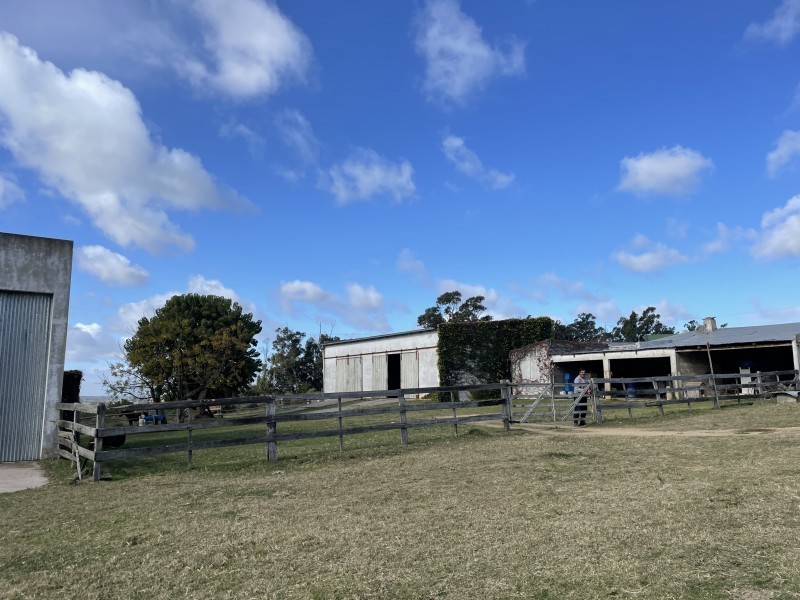 Campo en Camino Eguzquiza, La Barra