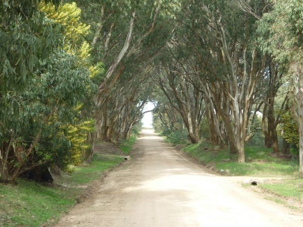 Terreno en venta en Balneario Buenos Aires.
