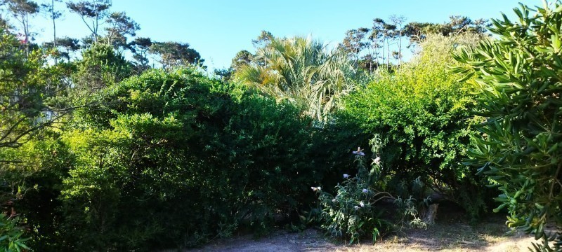 Loft en Montoya, La Barra