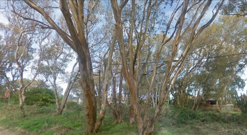 Lote en Balneario Bs. As.