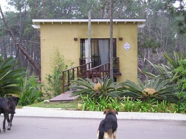 Casa en alquiler muy coqueta en Montoya, La Barra.
