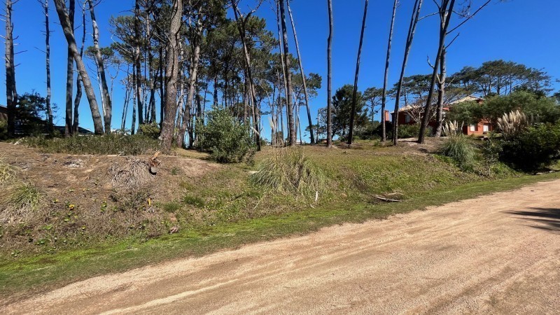 Lote en Laguna Blanca, La Barra