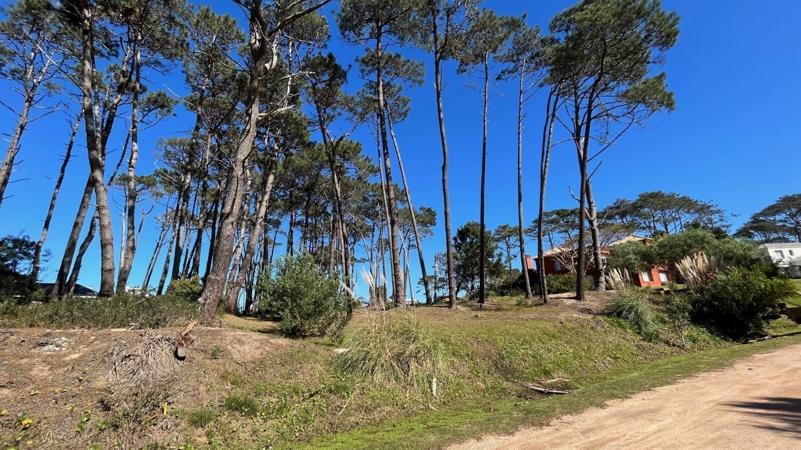 Lote en Laguna Blanca, La Barra