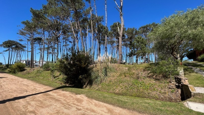 Lote en Laguna Blanca, La Barra