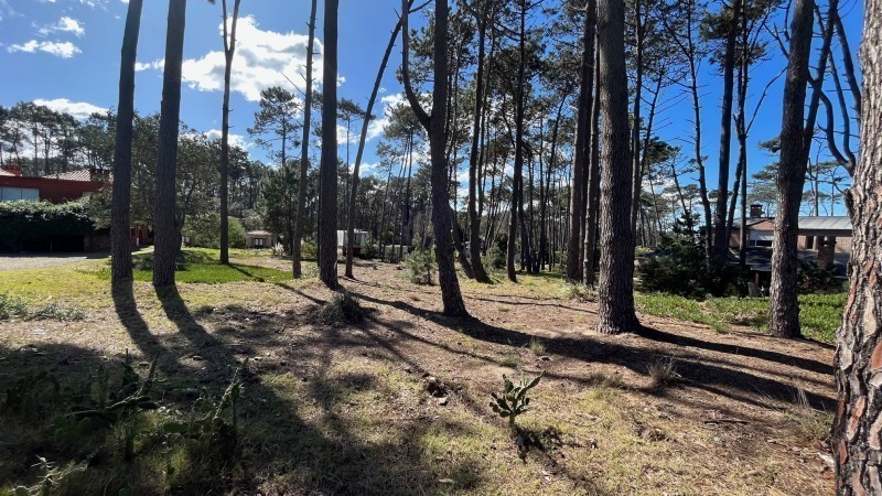 Lote en Laguna Blanca, La Barra