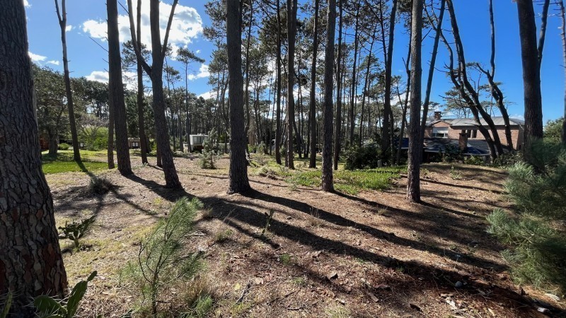 Lote en Laguna Blanca, La Barra