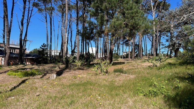 Lote en Laguna Blanca, La Barra