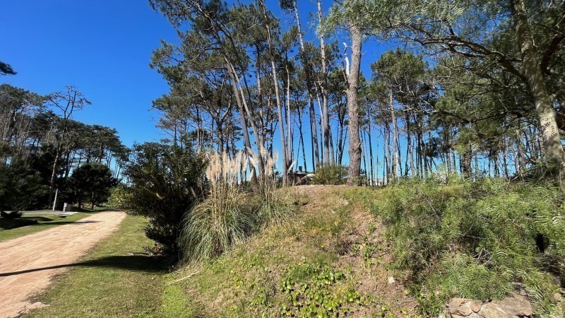 Lote en Laguna Blanca, La Barra