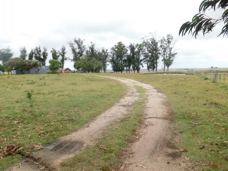 Campo de 35 has en venta